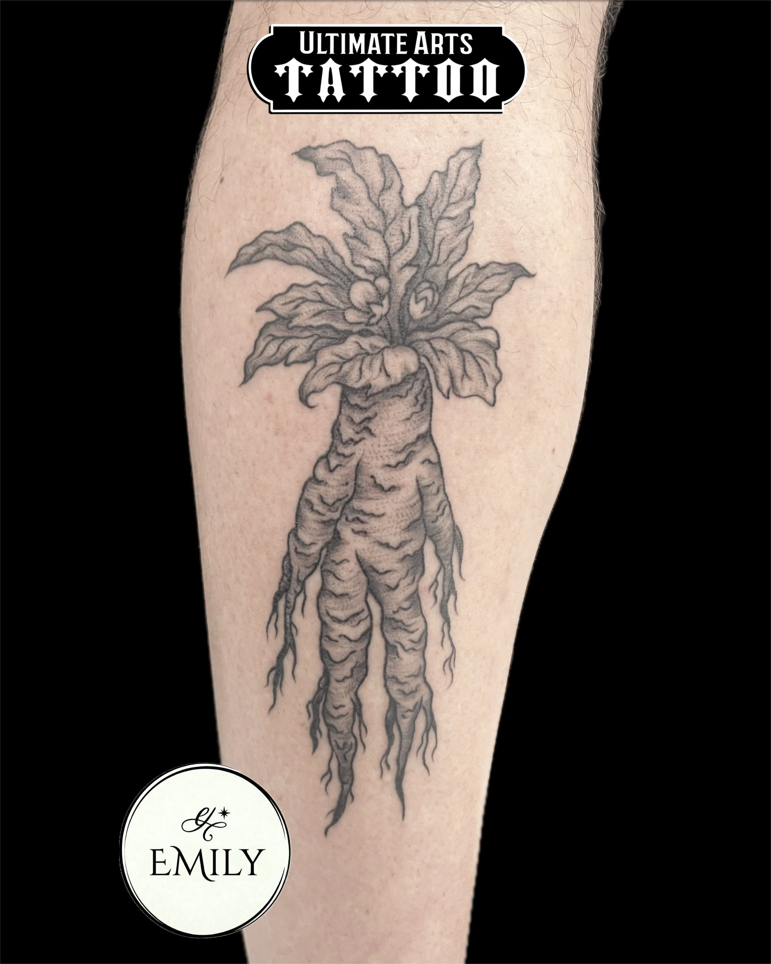  Madison, WI tattoo artist Emily    black and gray fine line tattoos, detailed floral designs, botanical tattoos, and nature inspired artwork at Ultimate Arts Tattoo. 