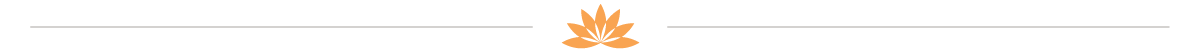 Lotus-Div-Line-02-09.png
