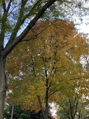 All You Need to About the Iconic Twin Cities