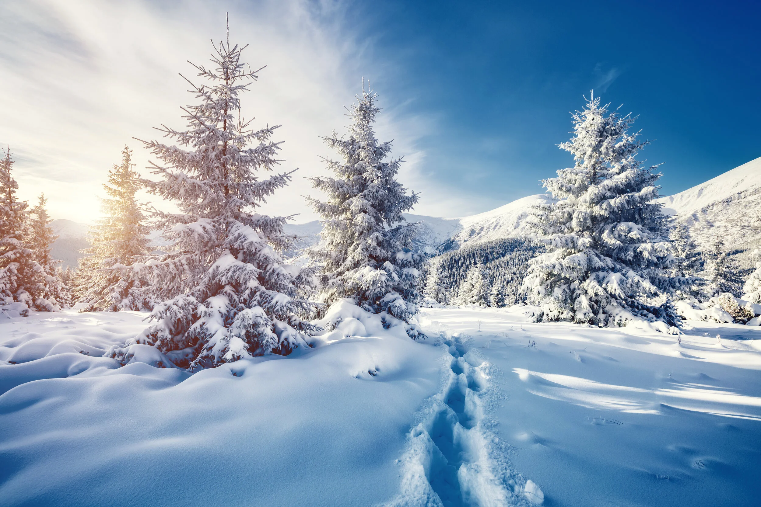 Your Guide to Holiday vacations in twin cities ππ¦πΎ