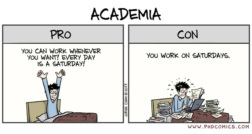 Academia.jpg