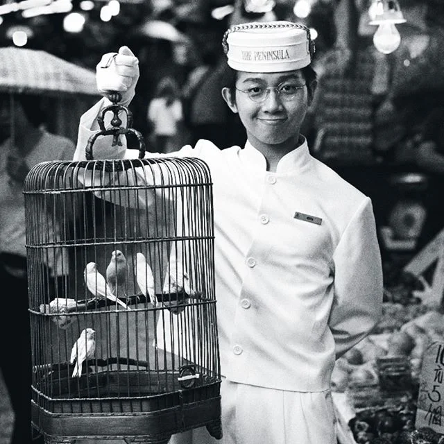 Within the Peninsula family, service is an art and the staff are very special people &ndash; the true heart and soul of our hotels worldwide.⁠
⁠
@peninsulahotels  #luxuryhotels #portraitsofpeninsula #penmoments #AgencySacks #ASclientwork  #adcampaign