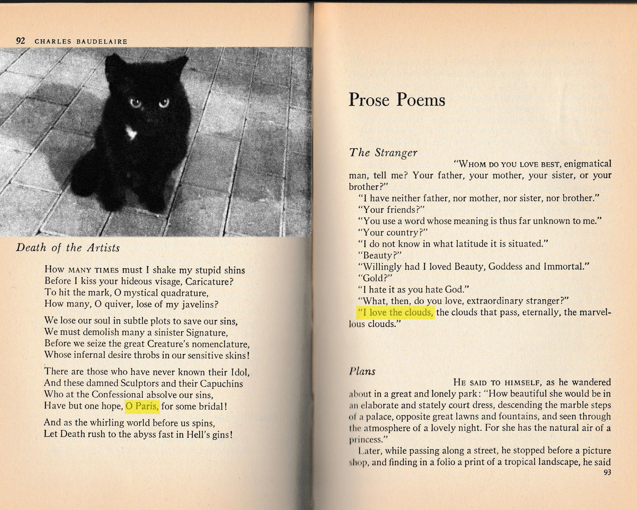 Del Marte Editorial by Bernardo Olmos Photography Studio Sequence12.JPG