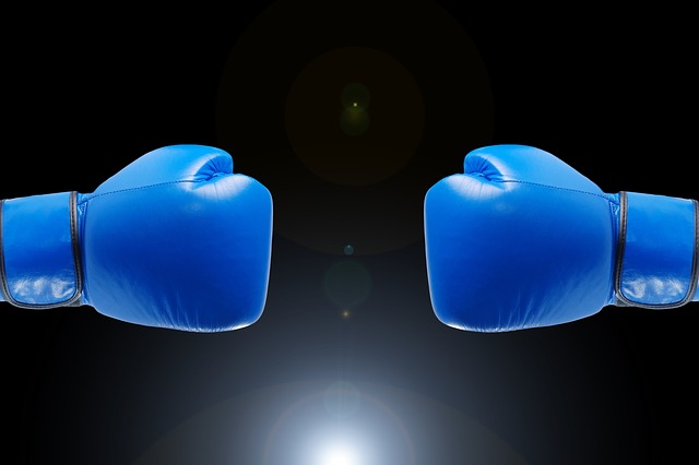 boxing-gloves-1709174_640.jpg