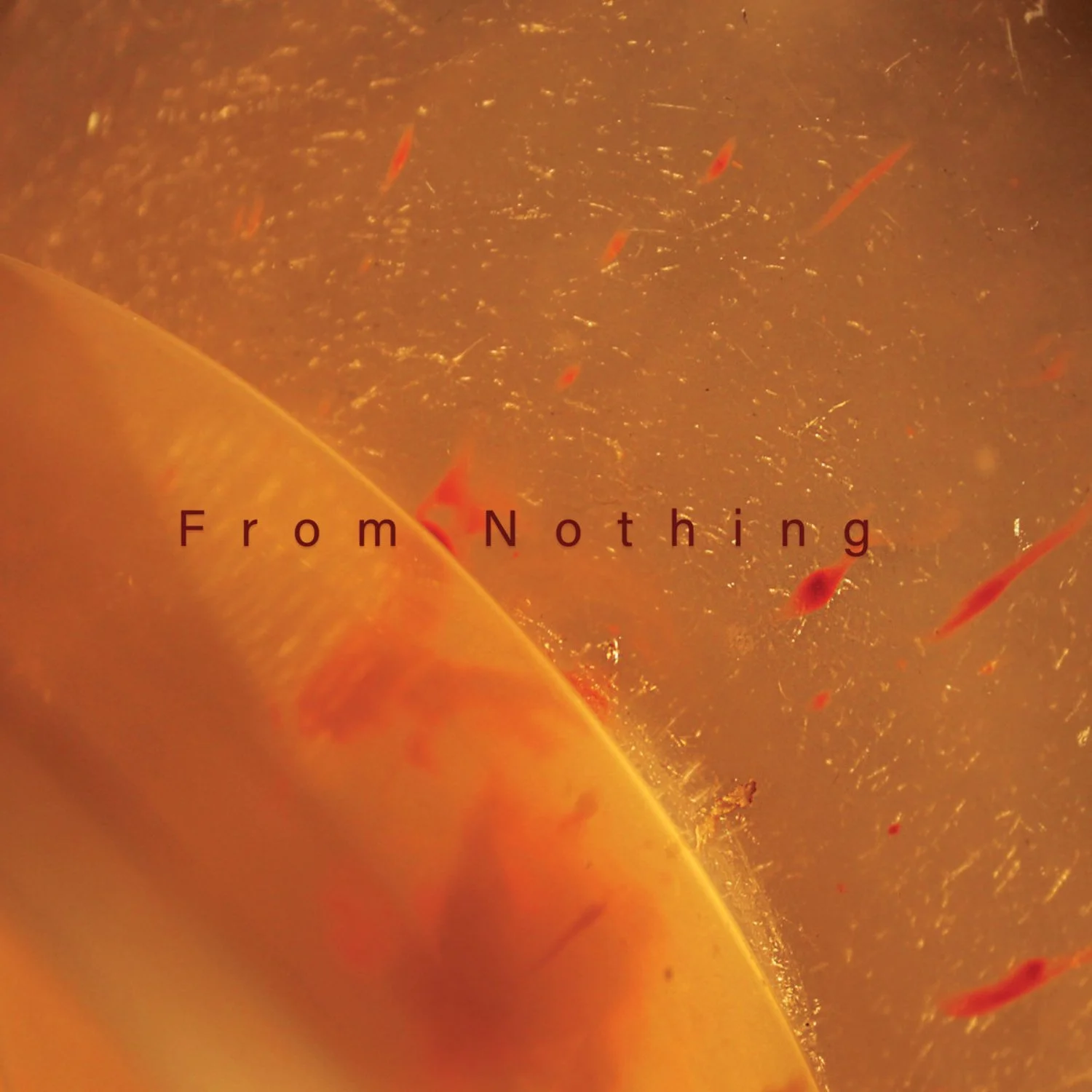 Daniel Reyes Llinás – From Nothing