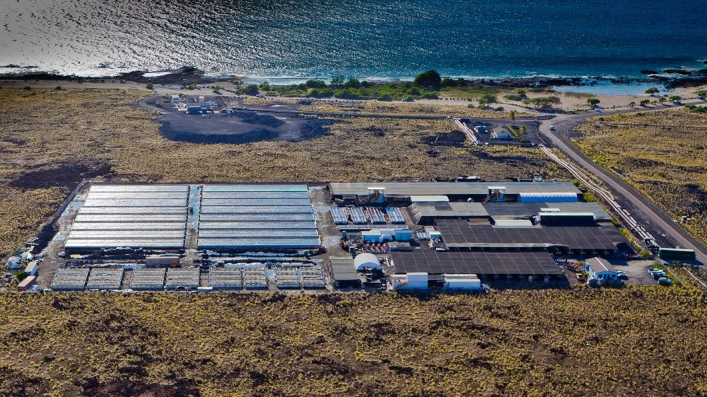 Kona-Abalone-Factory2-1024x575.jpg