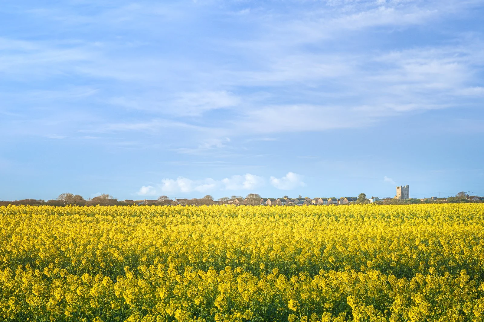 "Blue skies and yellow fields"