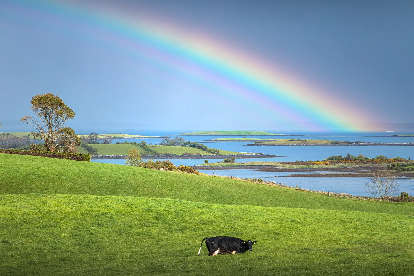 ballymorranbayrainbow.jpg
