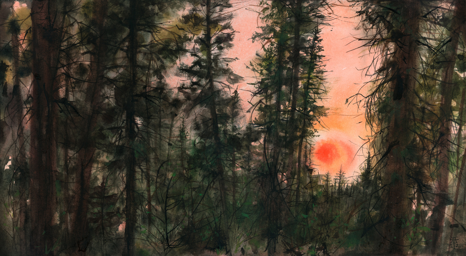 In Forests No. 32 | Dorst Creek Sunset