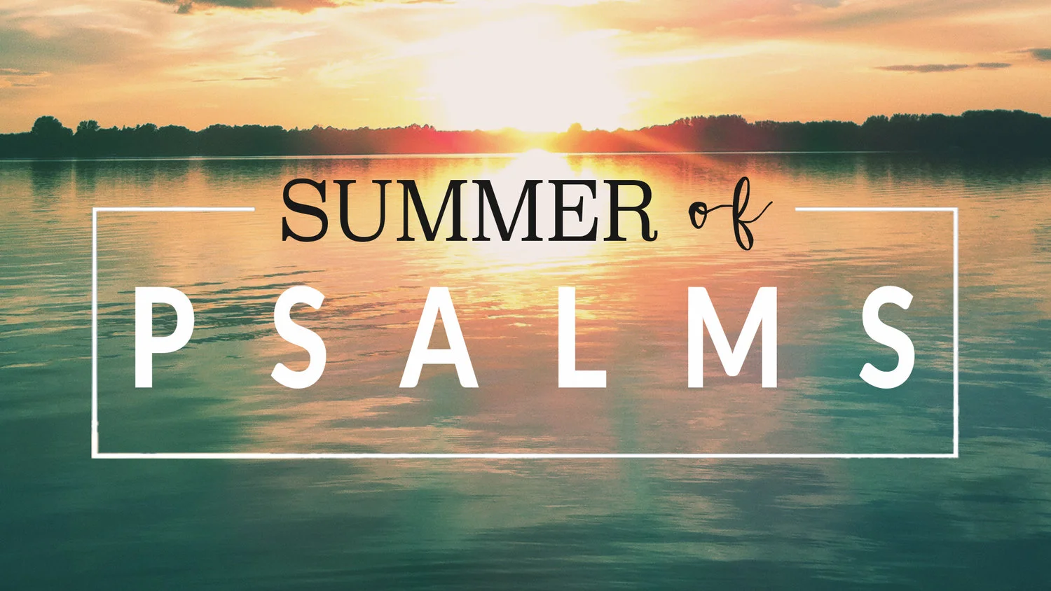 Summer of Psalms Part 3: Psalms 139