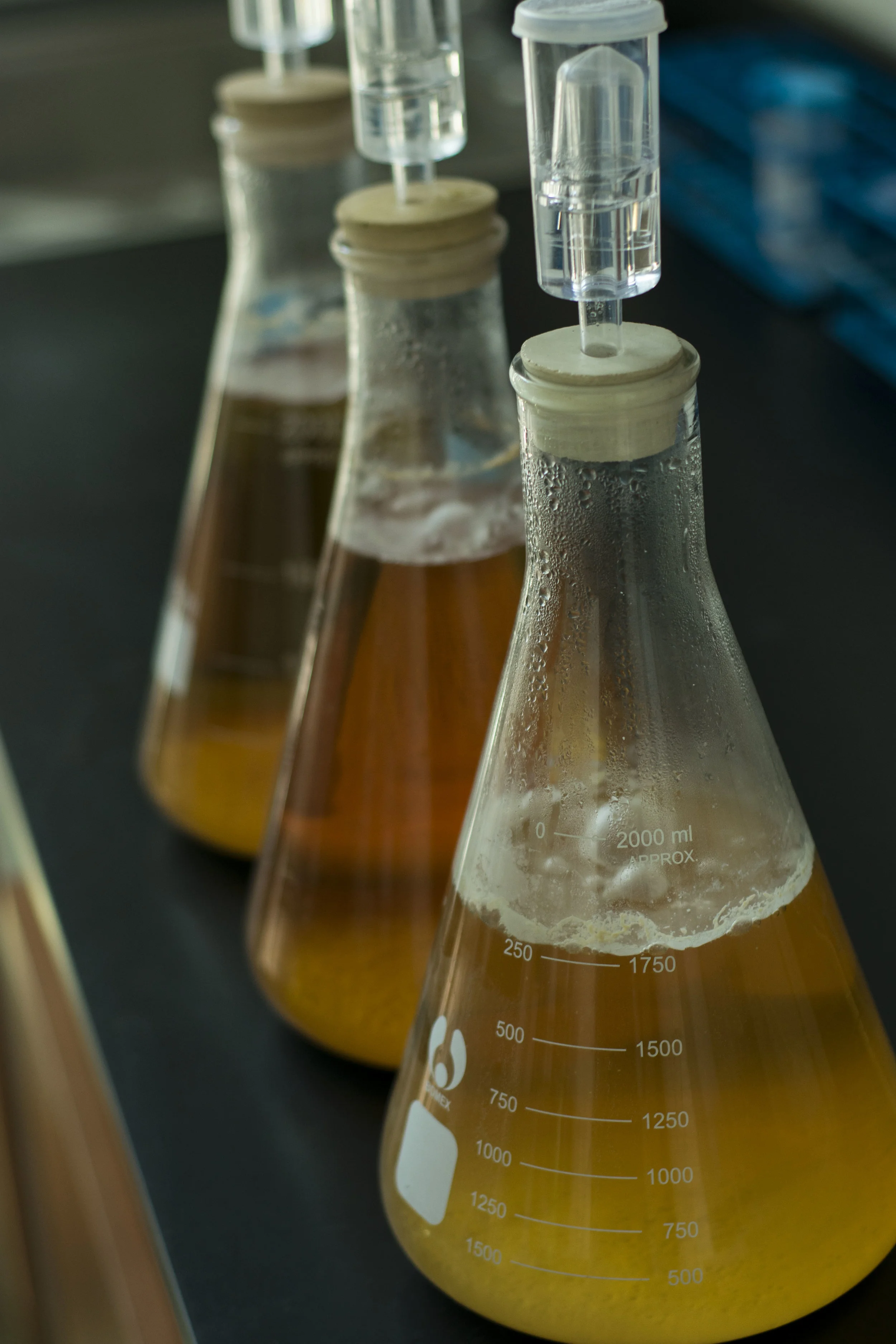 Flasks_2.jpg