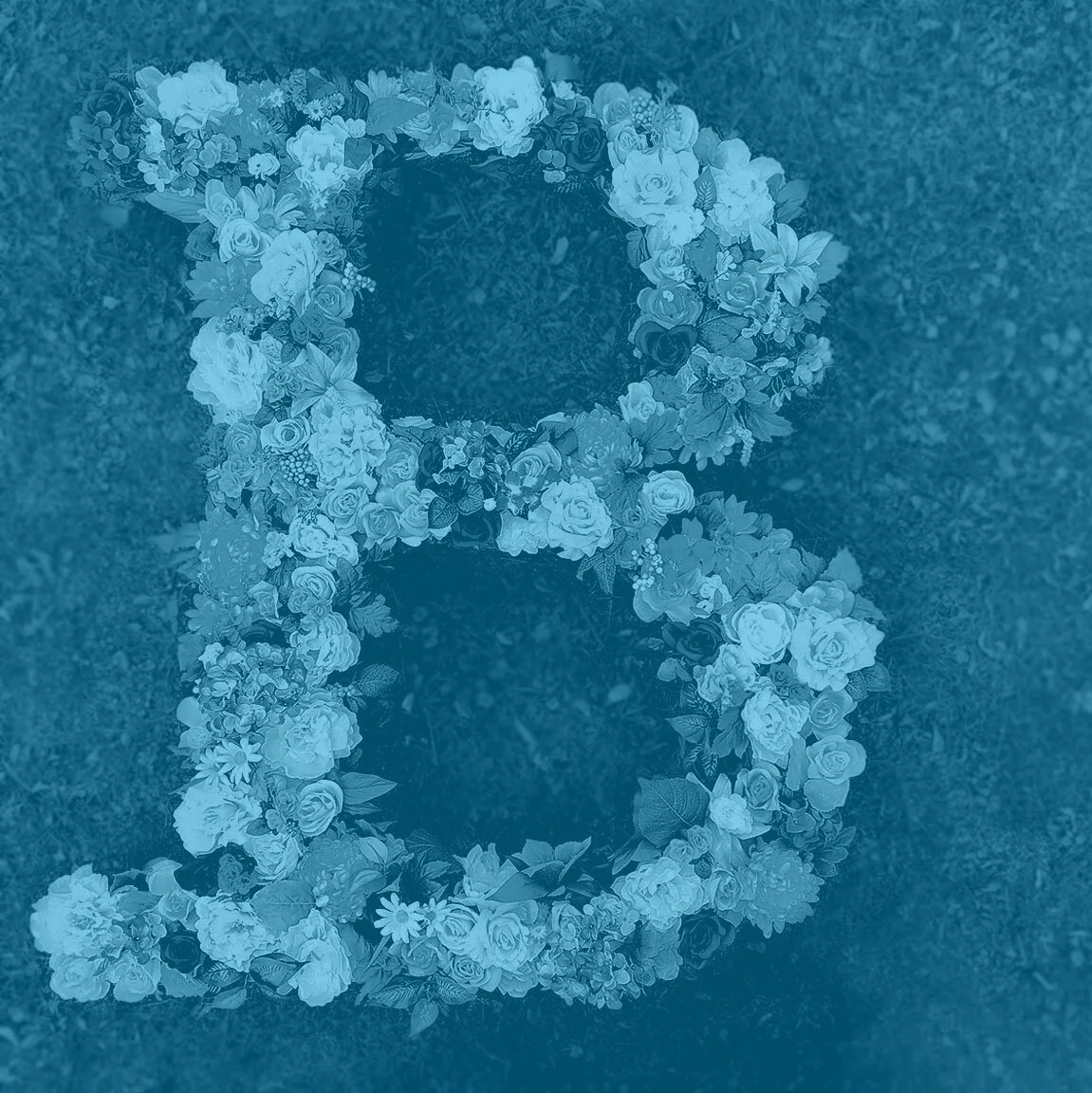 BigLetter.jpg