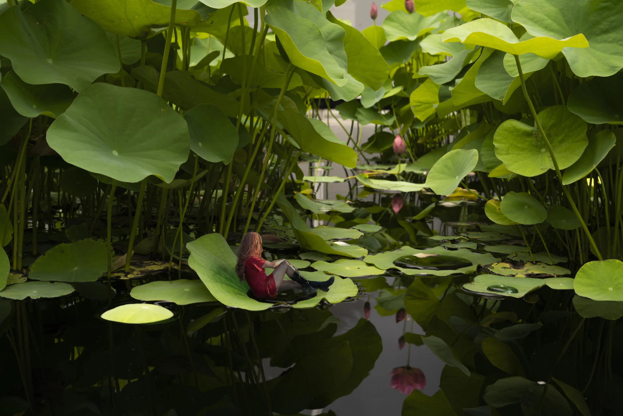 _DSC3642_ArrietyPond.jpg