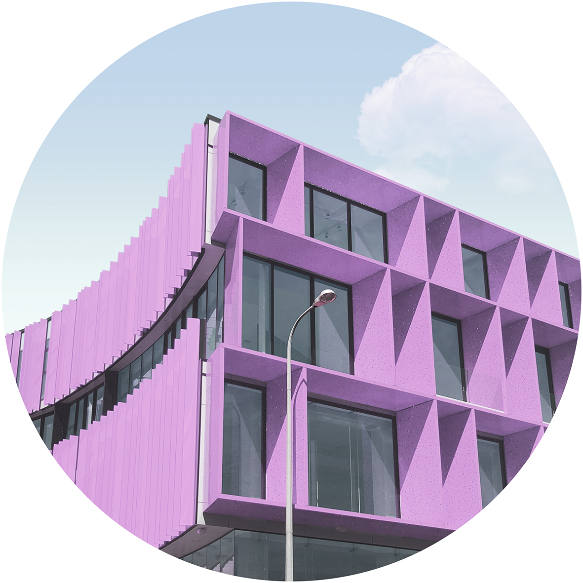 Purple Wave