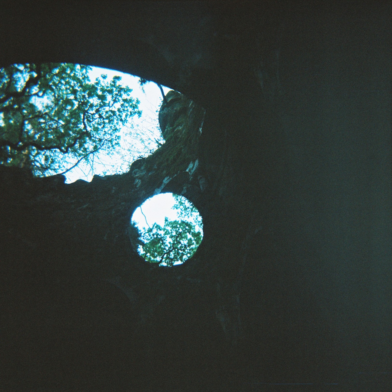 60E50D13-58AB-4DC1-A221-B3AA10C81CAA.jpeg