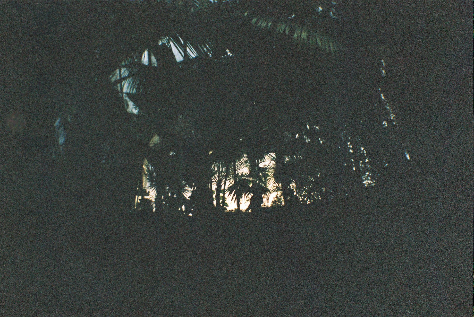 E2378AA7-A05C-410C-8E09-8C661D72370C.jpeg