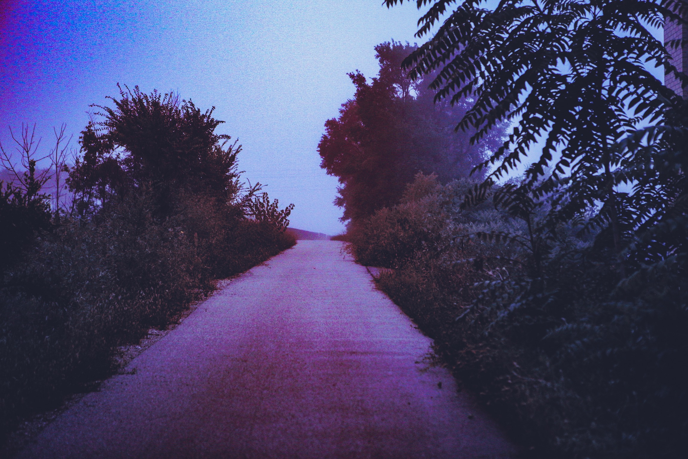 Image-4.jpeg