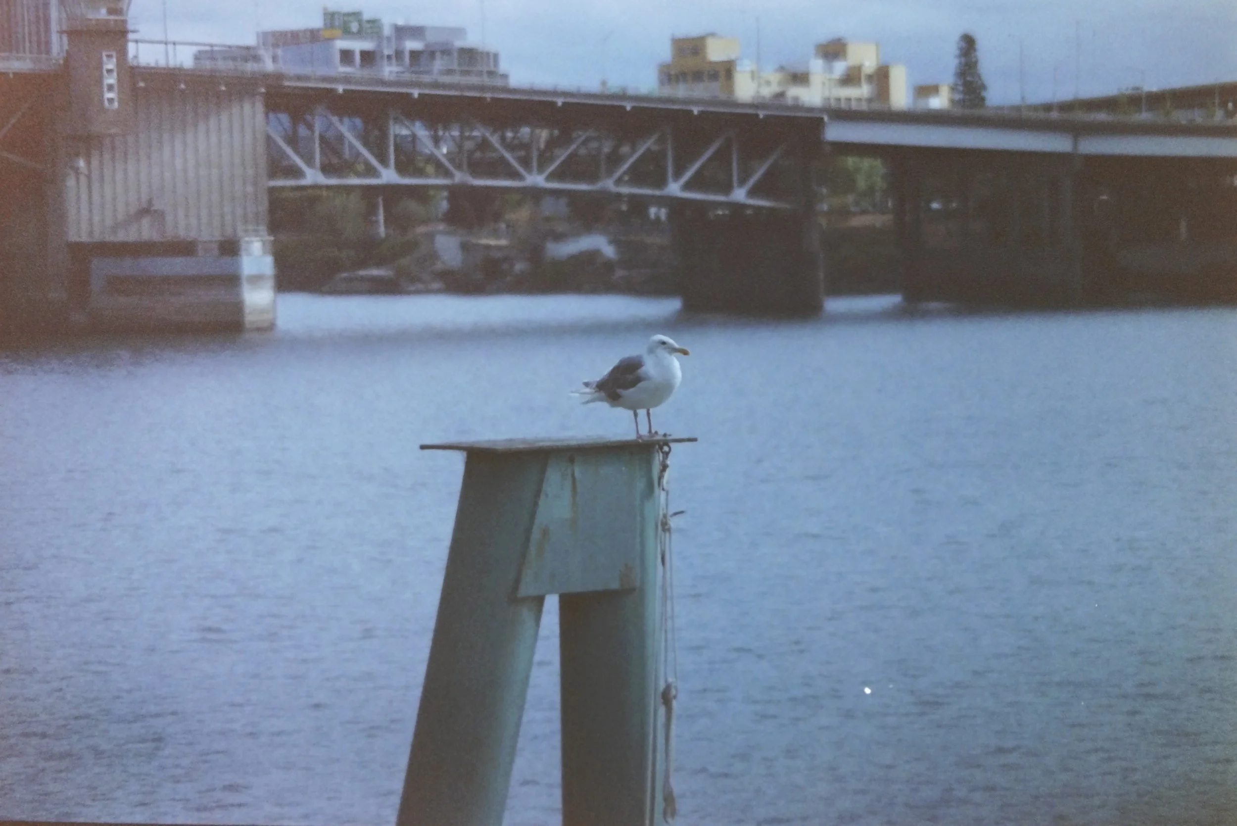 IMAG0021.JPG