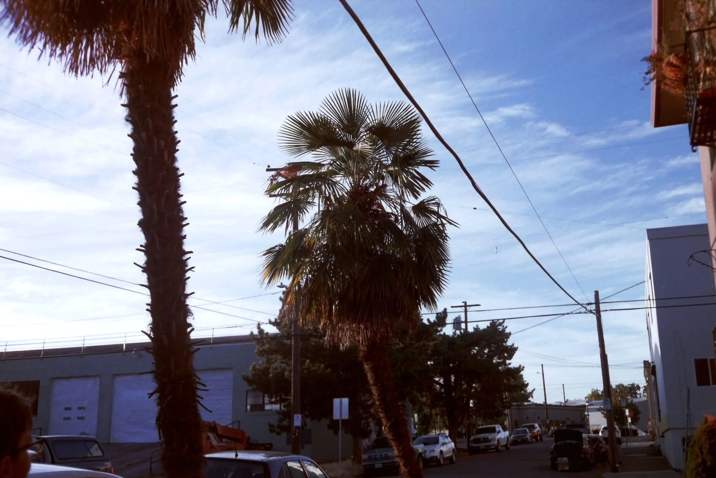 IMAG0131.JPG