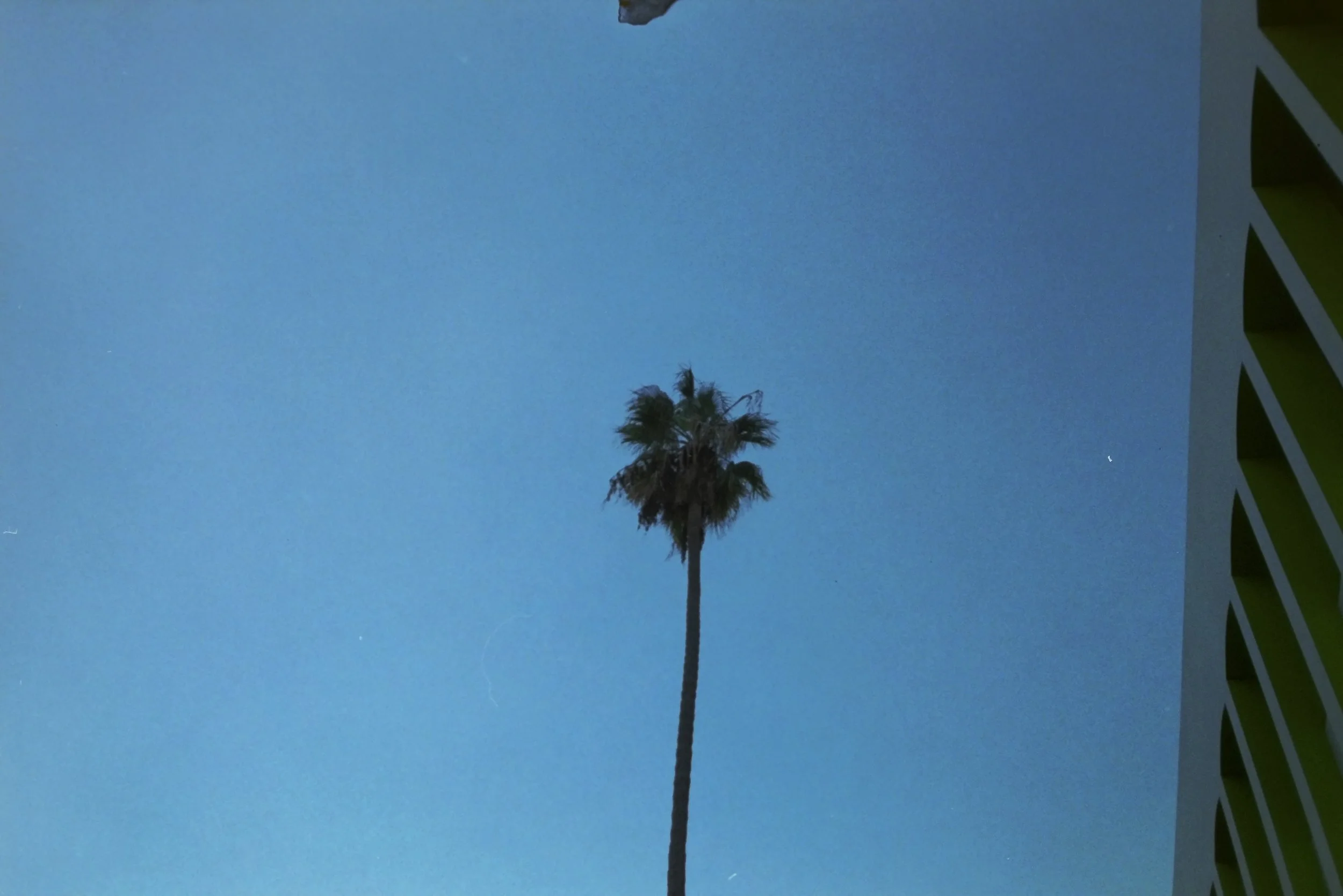 IMAG0028.JPG