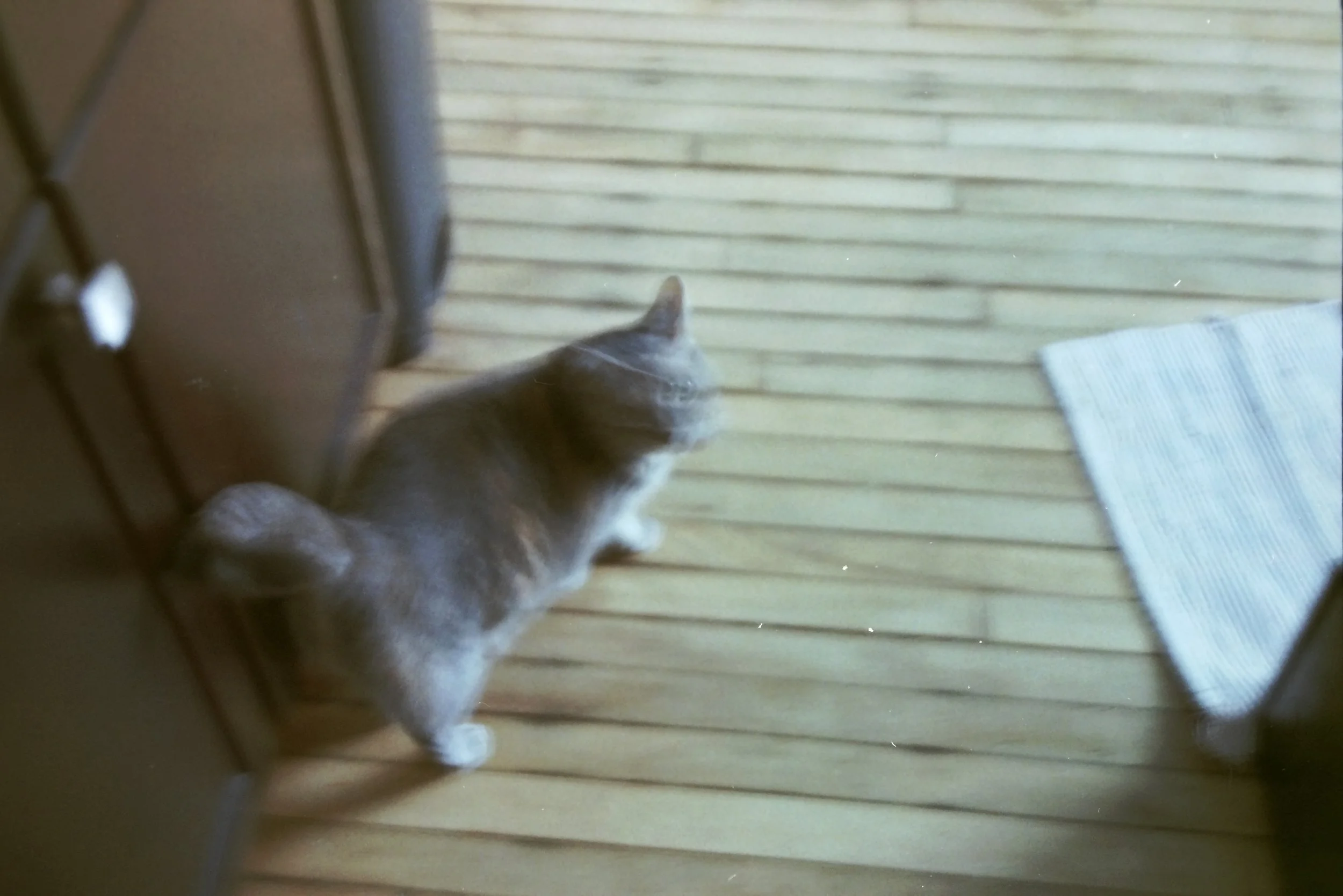 IMAG0180.JPG