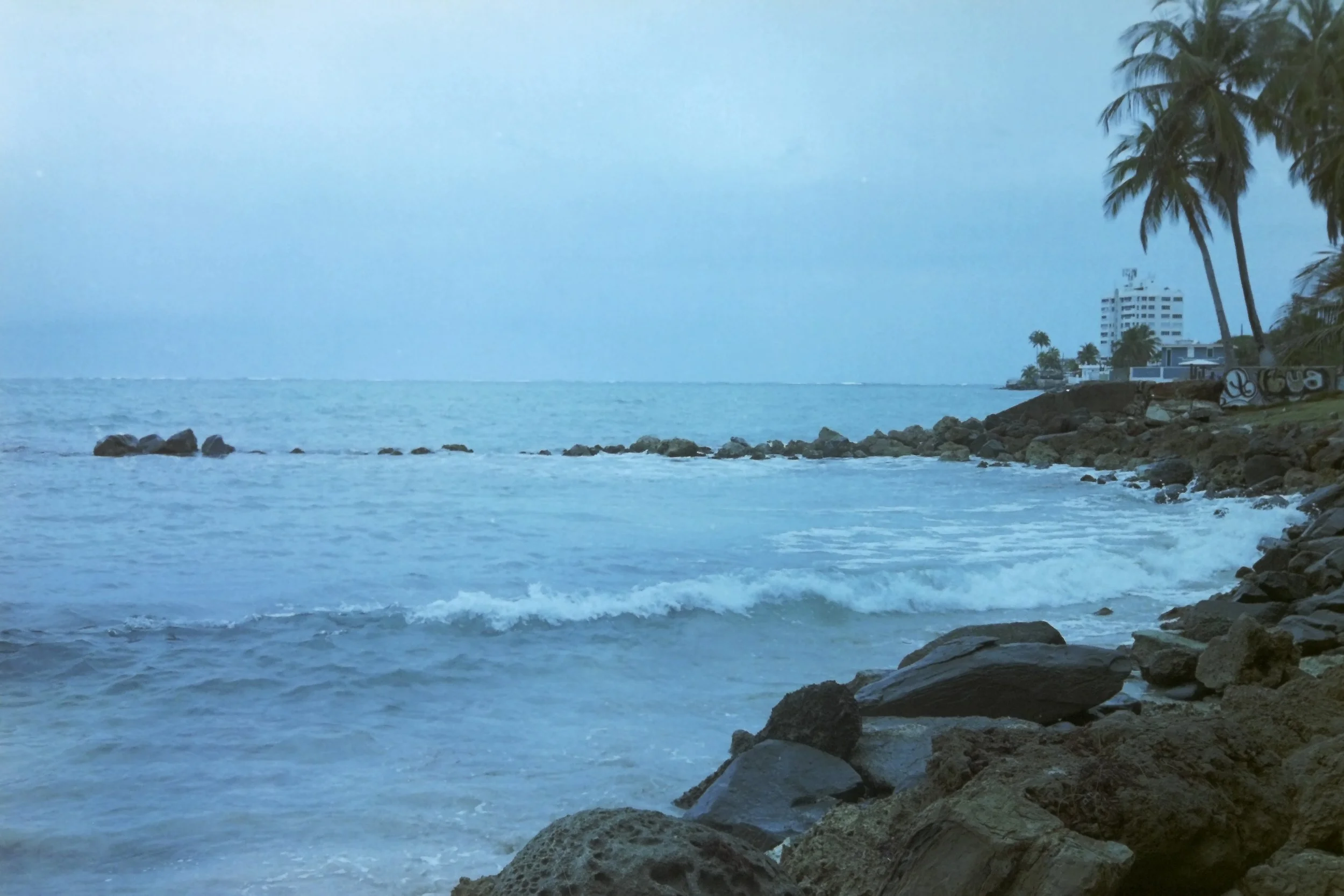 IMAG0107.JPG