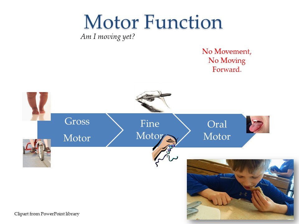 Motor Planning1   05 01 2020.JPG