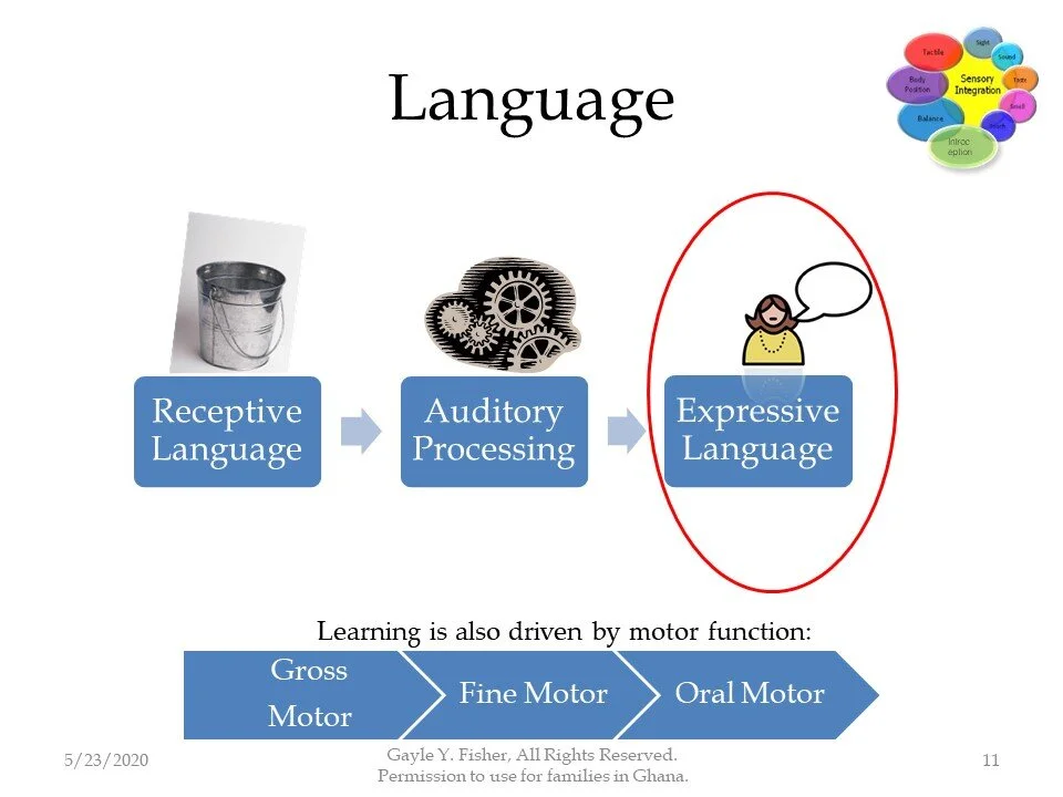 Expressive Language and Behavior