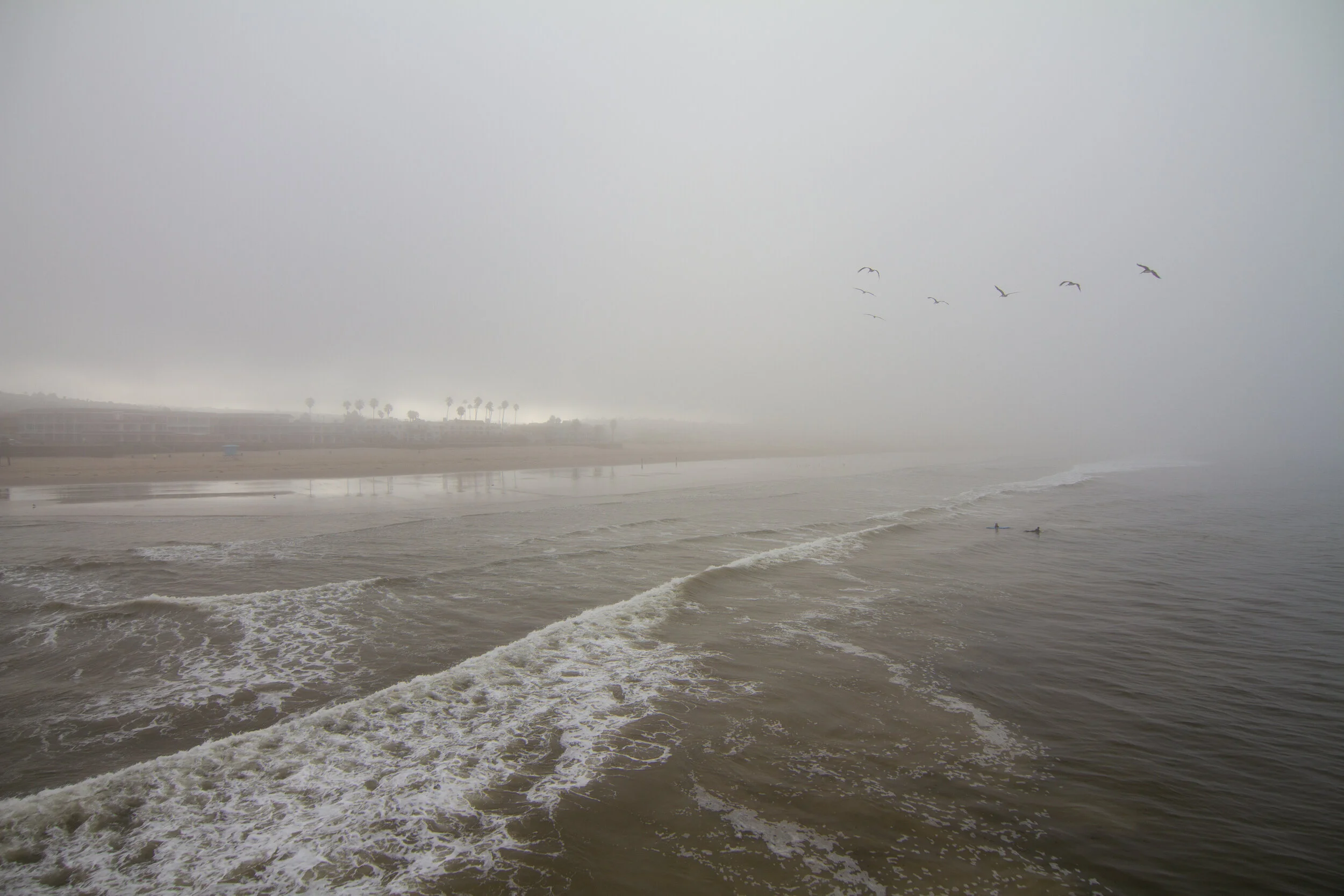 beach-4721.jpg