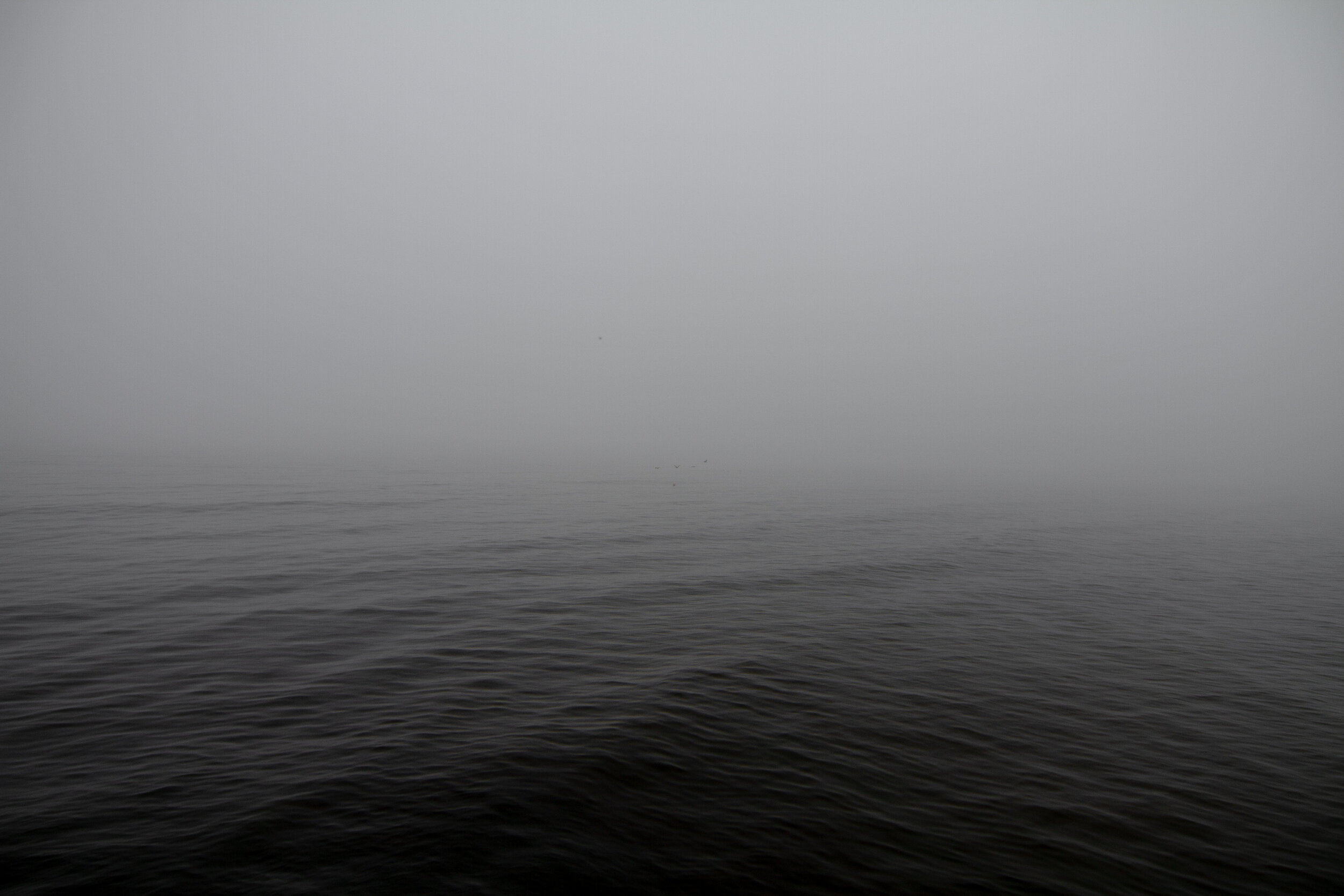beach-4704.jpg