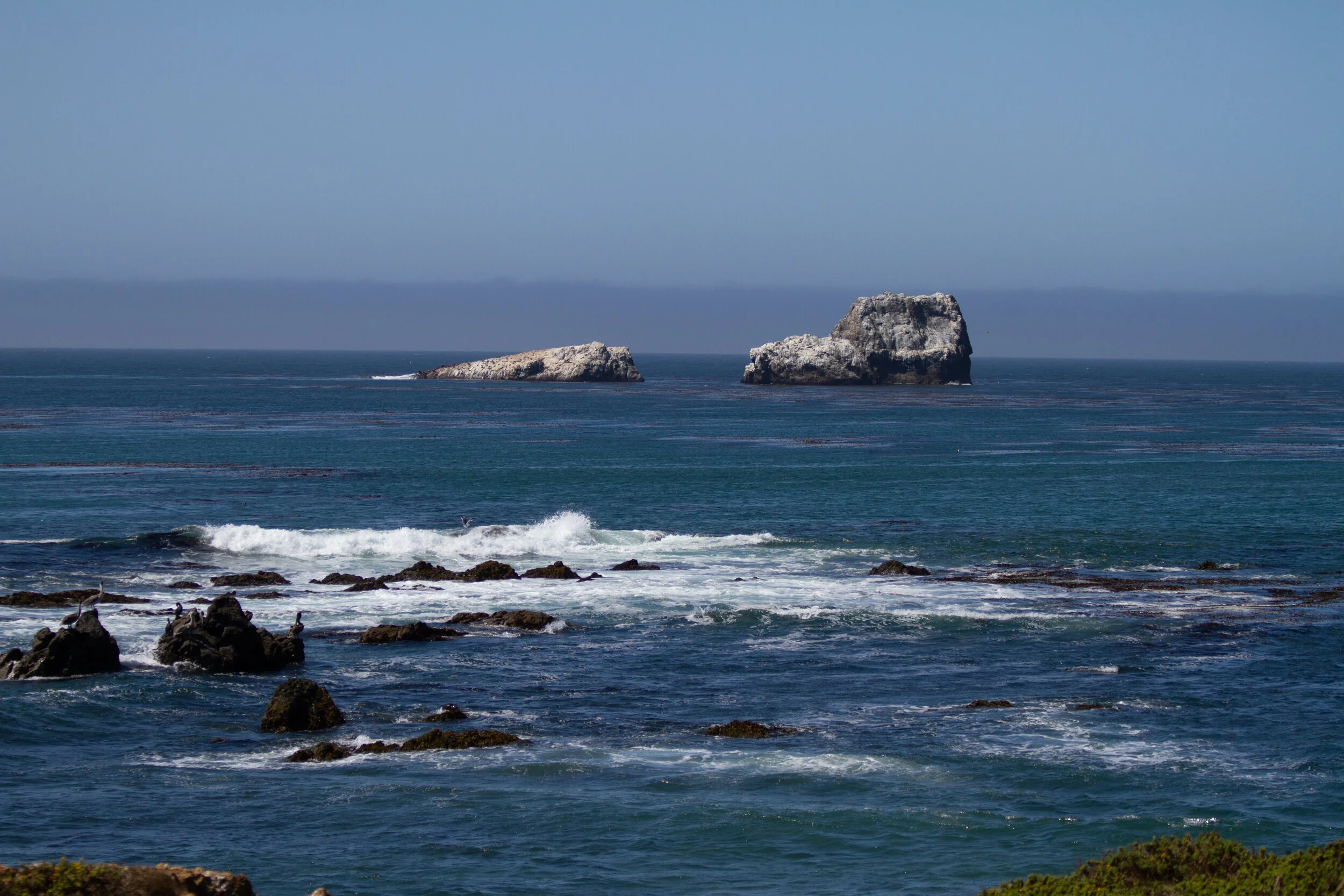 ocean-4771.jpg