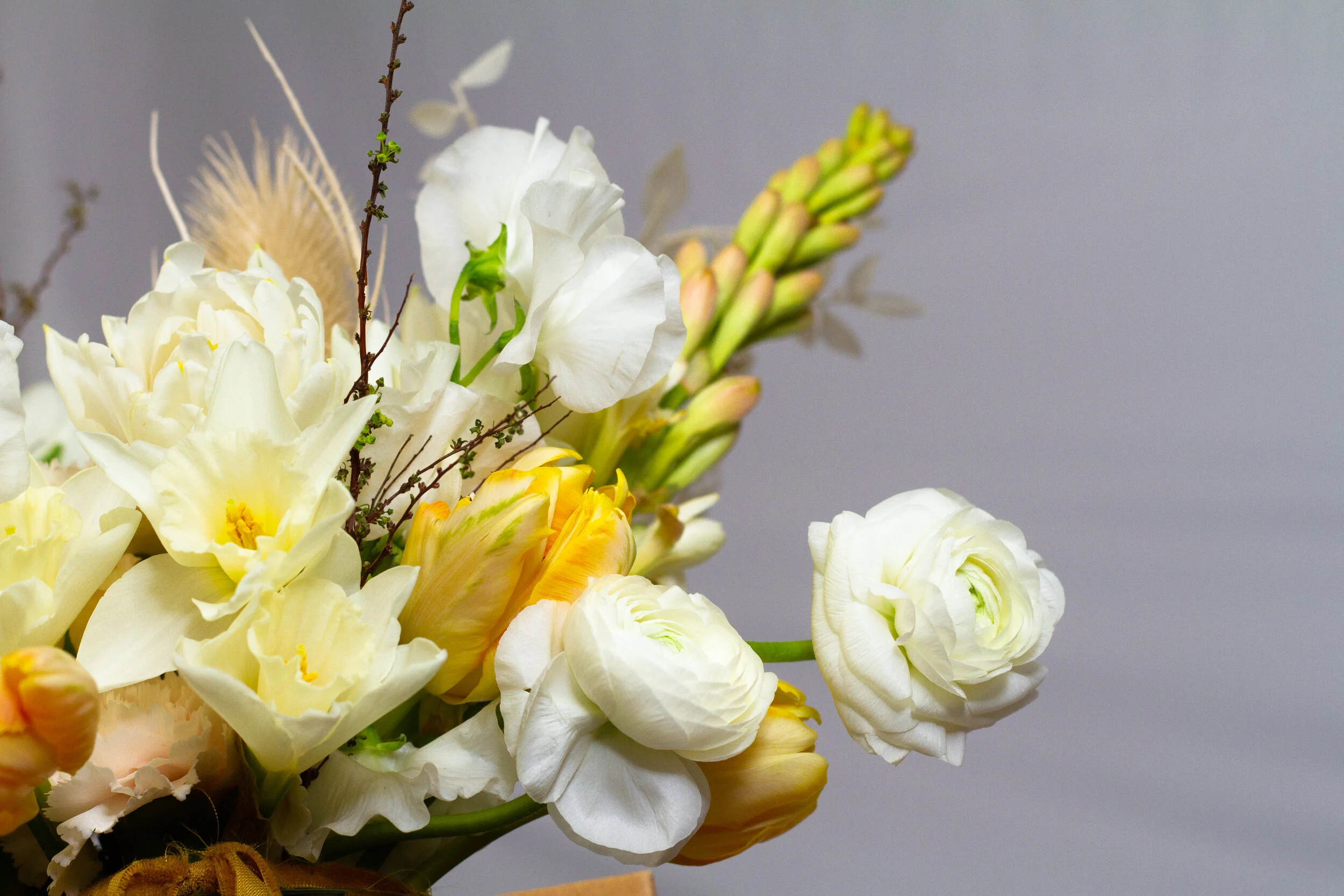 flowers nothing but-8564.jpg