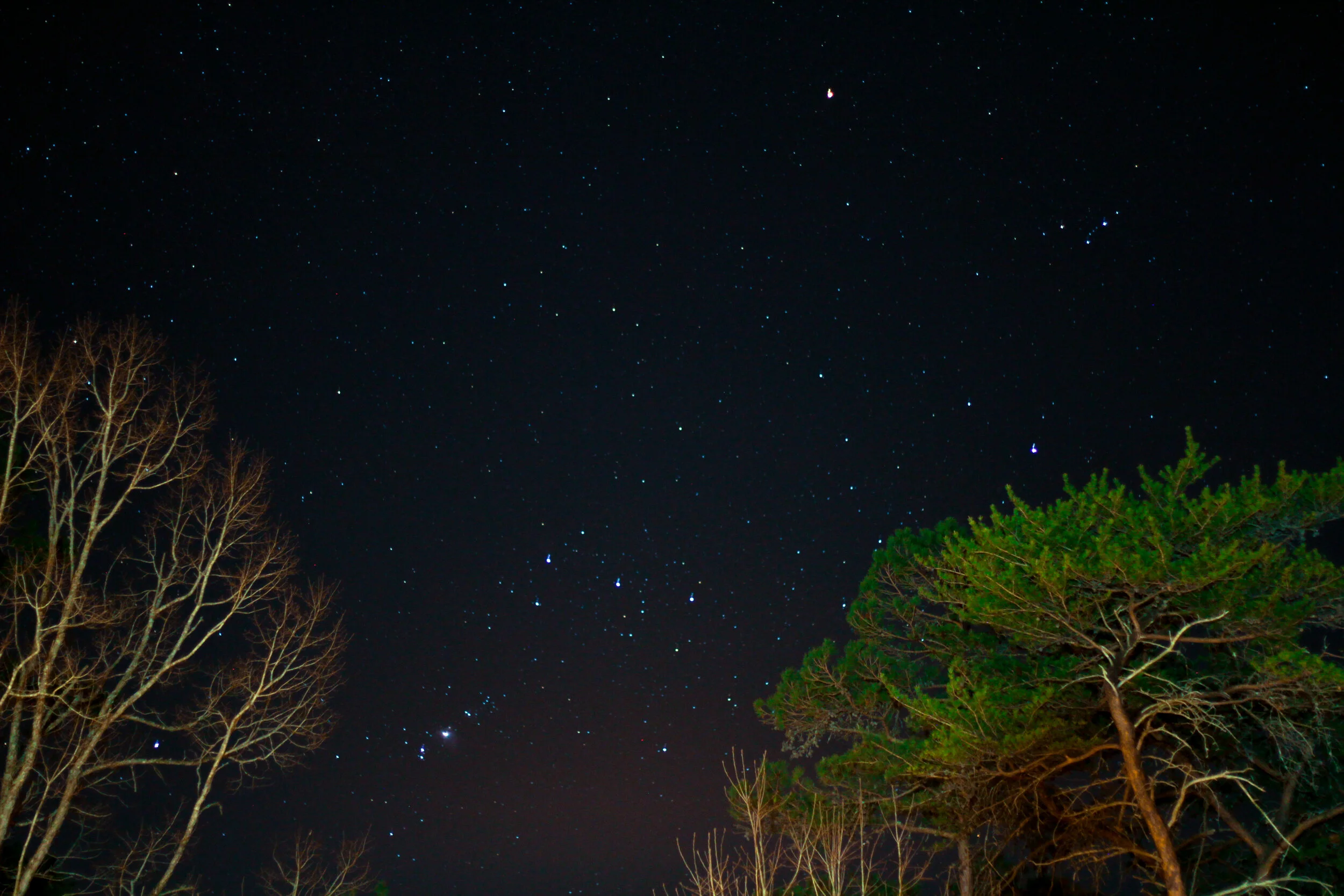 night stars-1.jpg