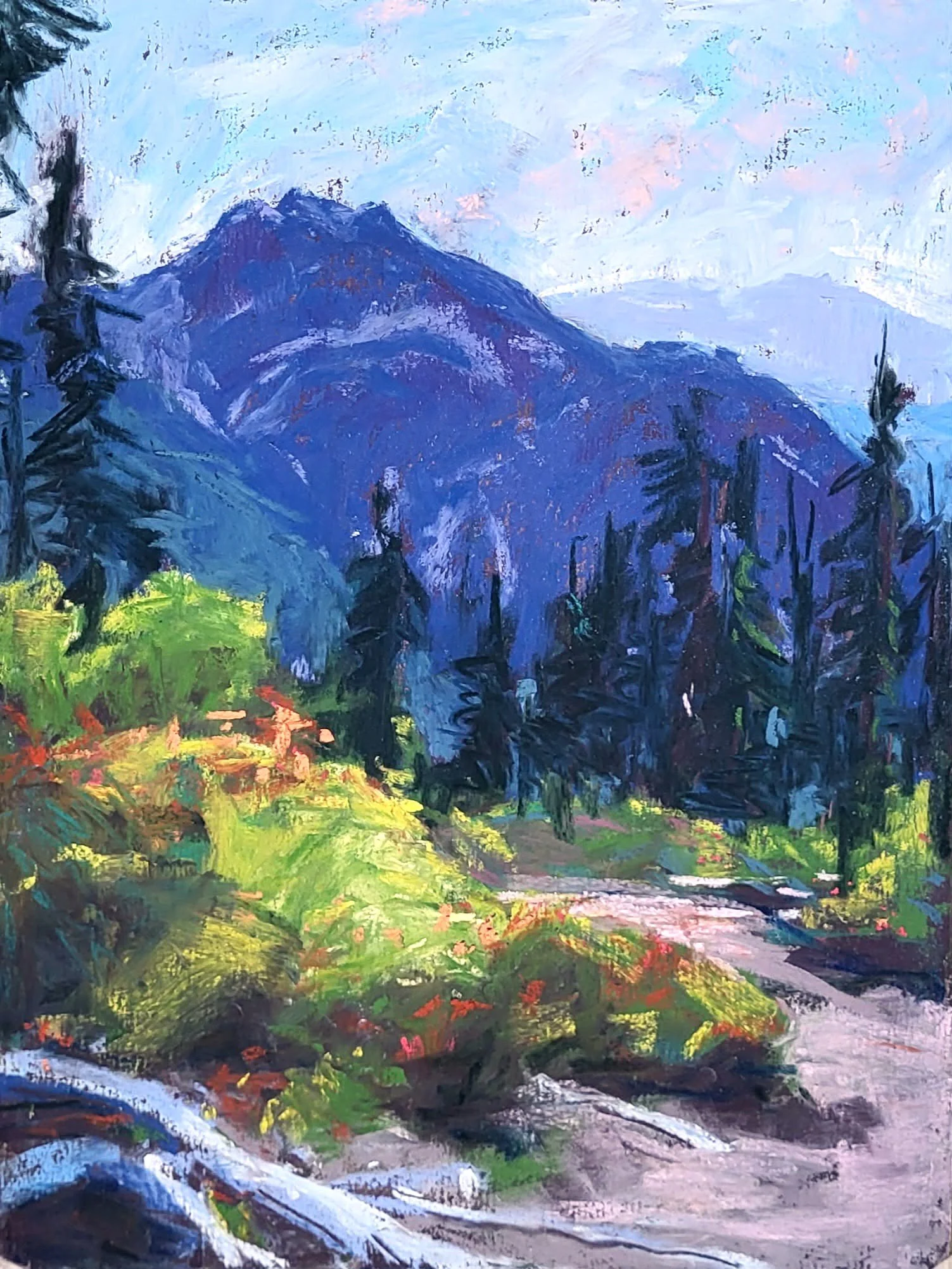 MOUNT SHUKSAN VIEW PASTEL.jpg