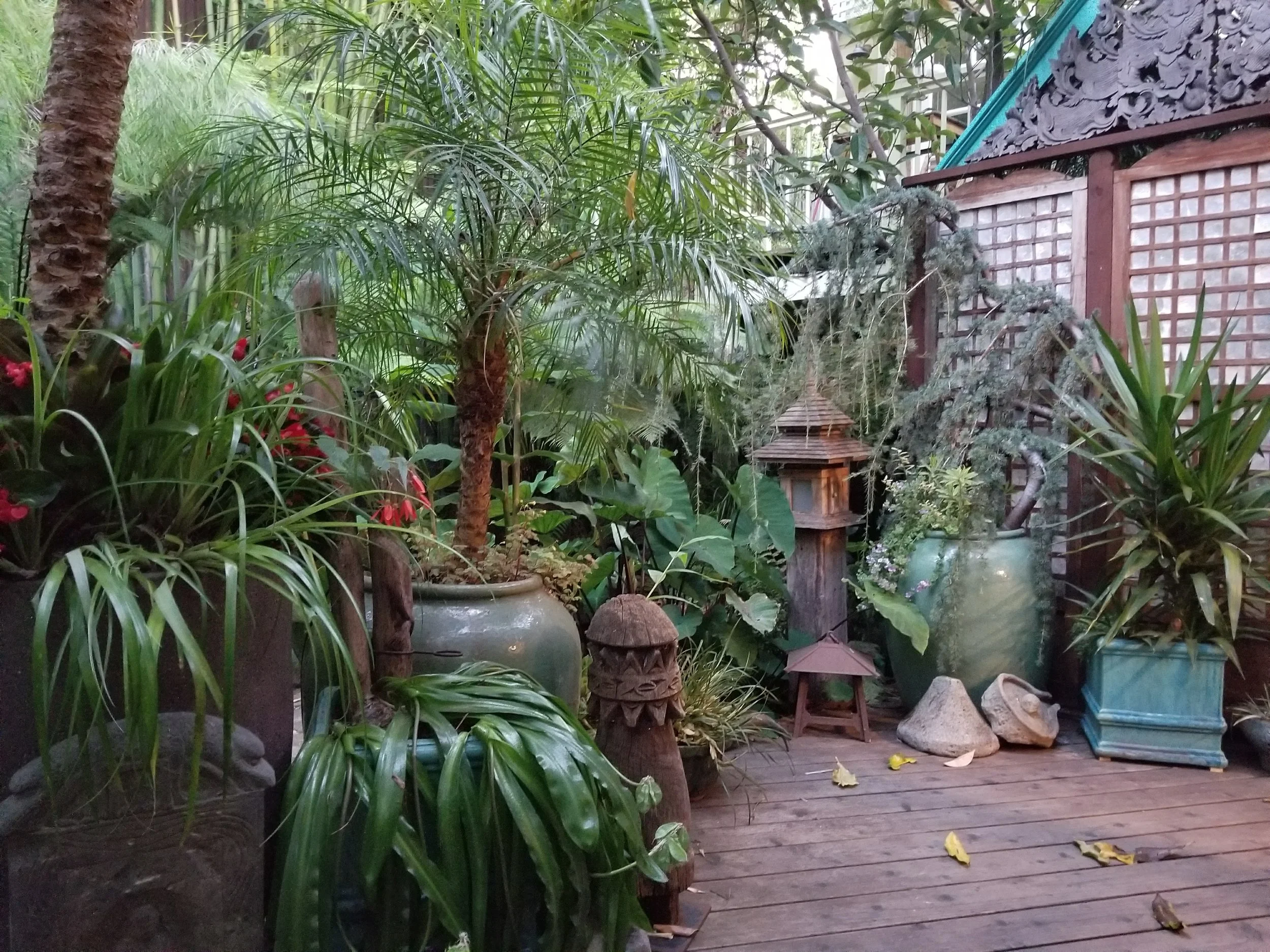 20170715_202935.jpg