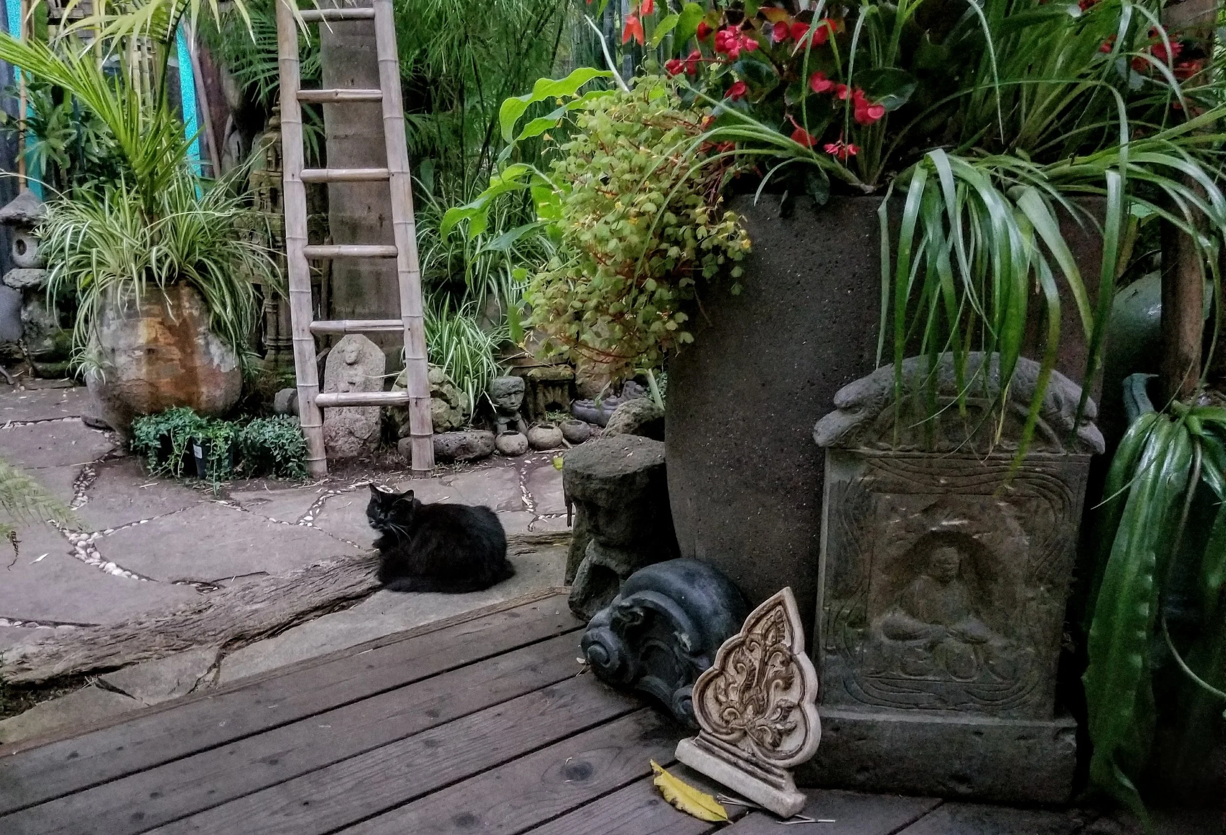 20170715_202911.jpg