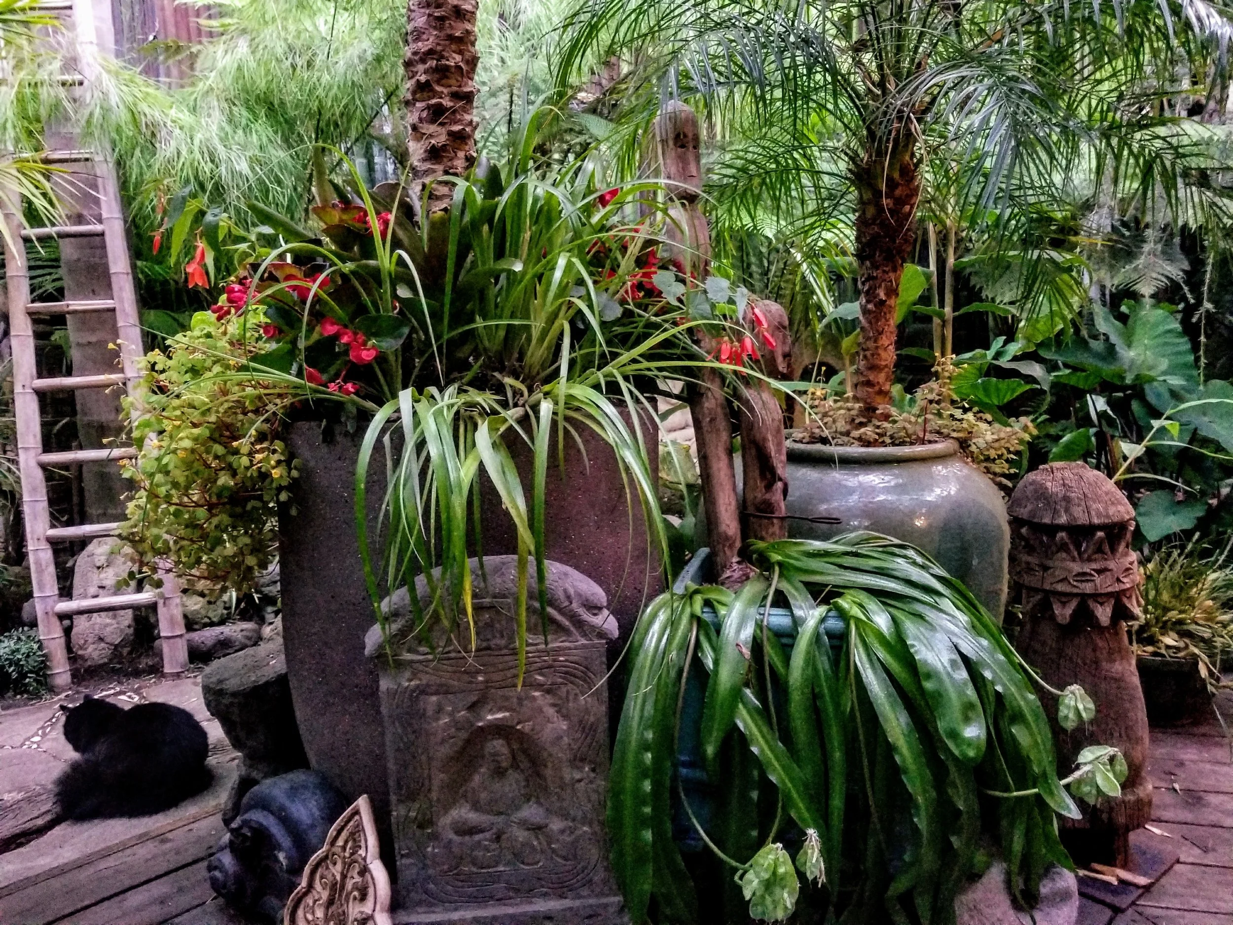 20170715_202853.jpg