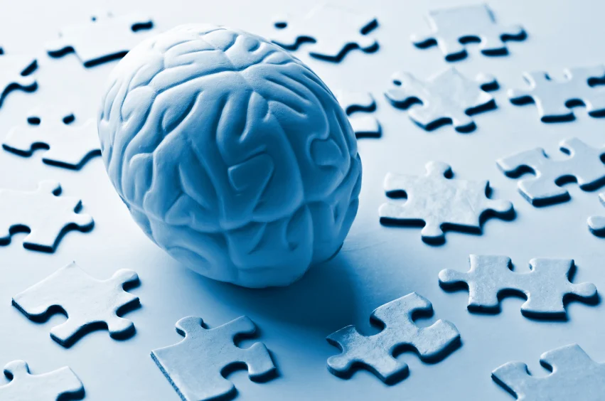 iStock_000018187335_Small.jpg