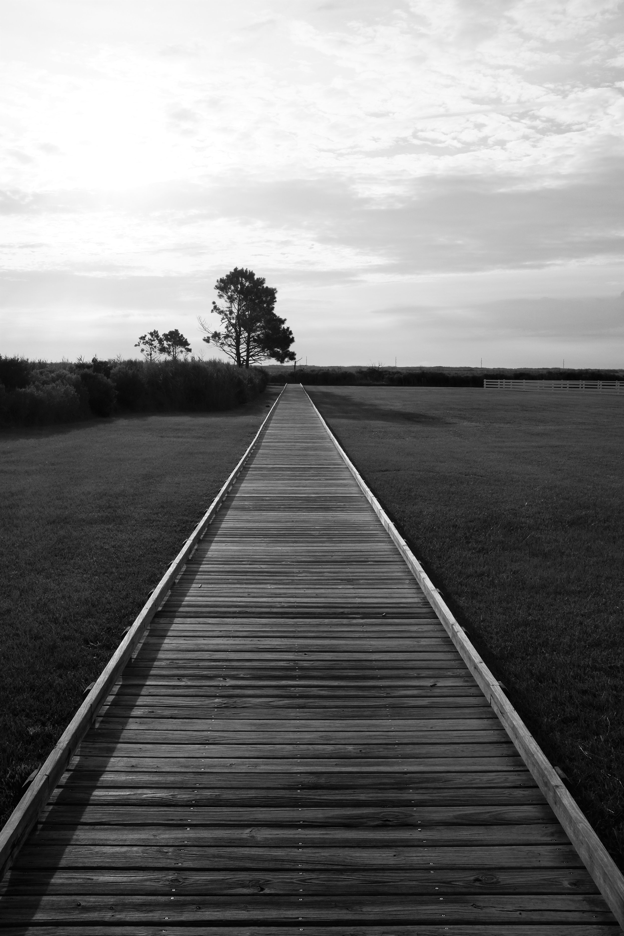 Bodie Island, NC 2016