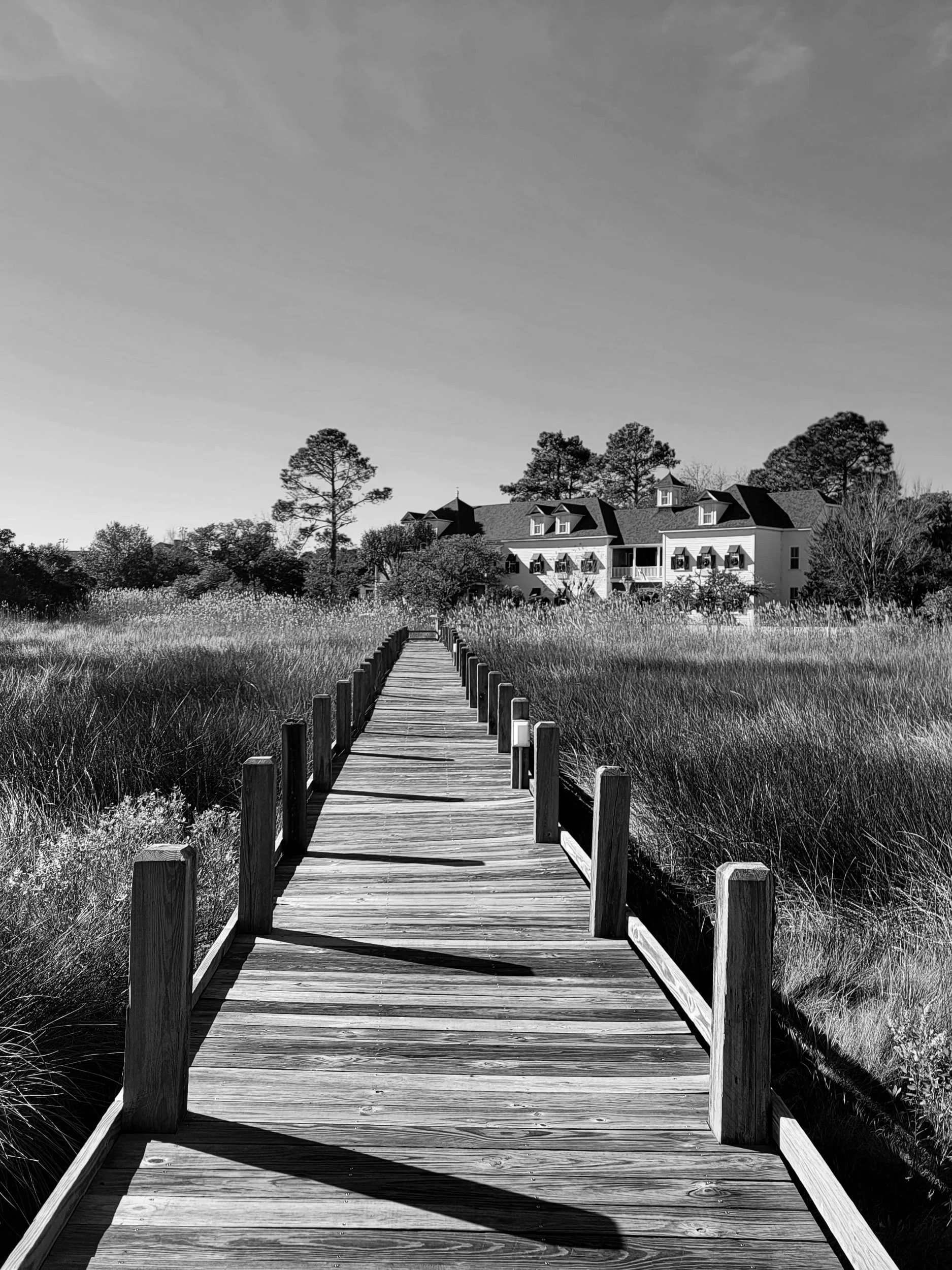 Outer Banks, NC 2025