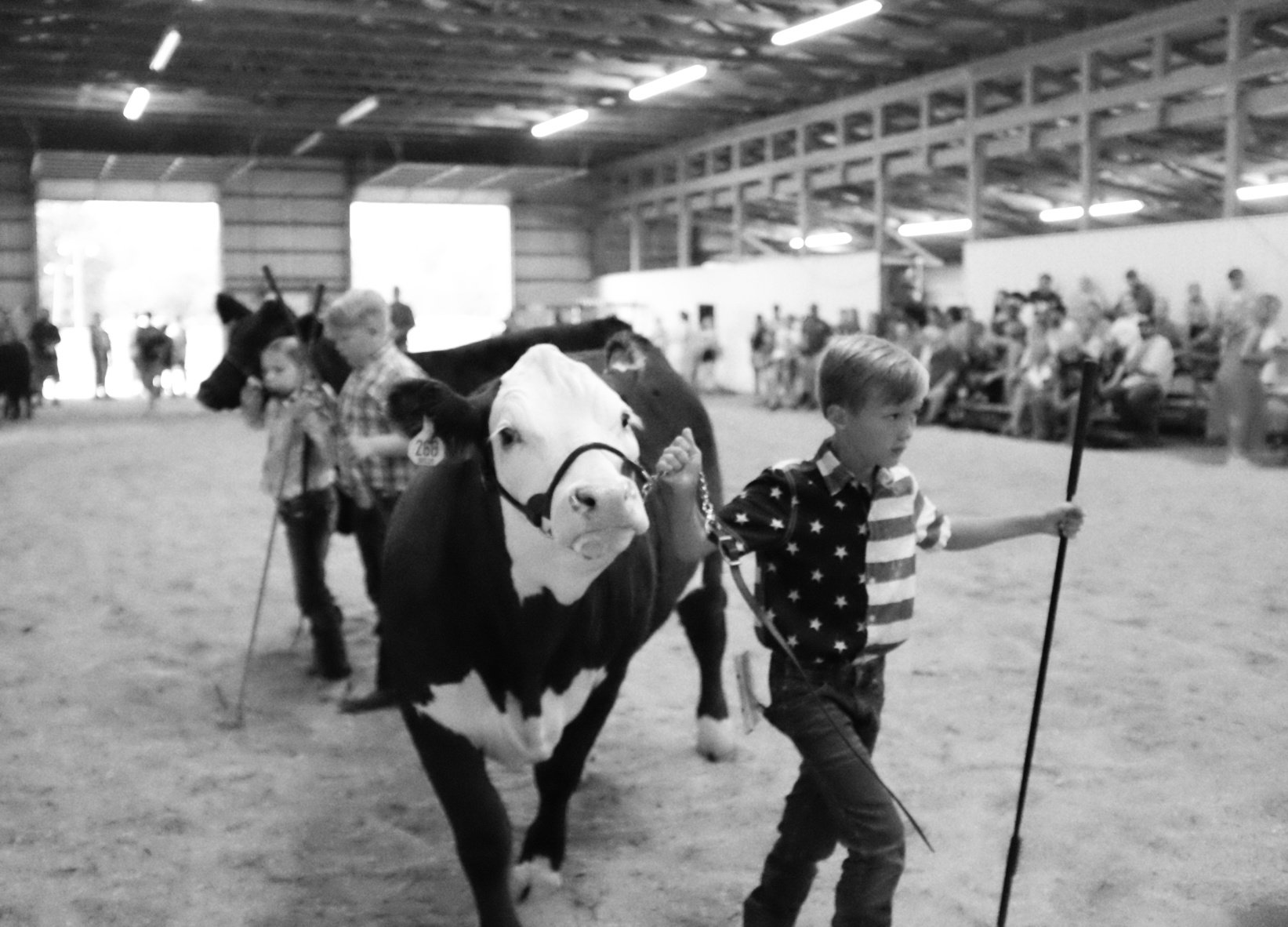 Butler Fair, 2026