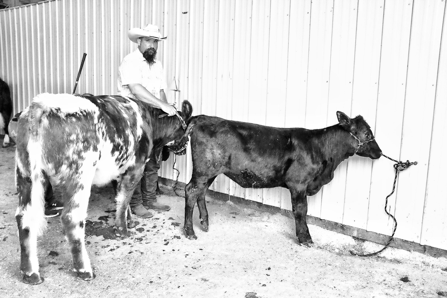 Butler Fair, 2026