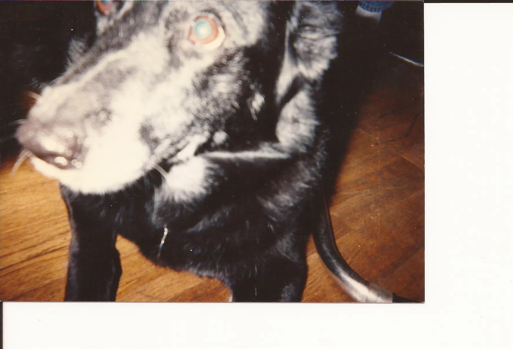 Scan 13.jpeg