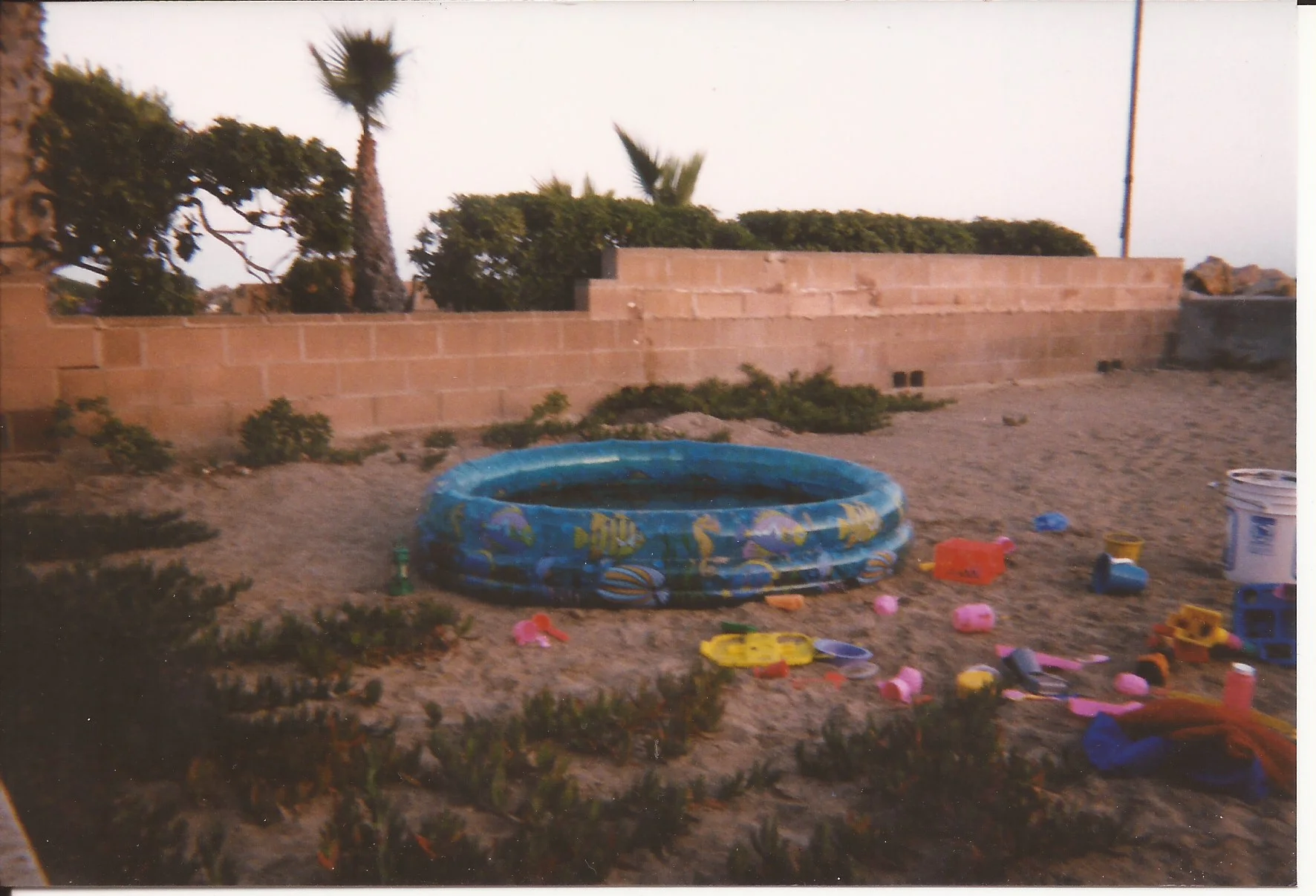 Scan 28.jpeg