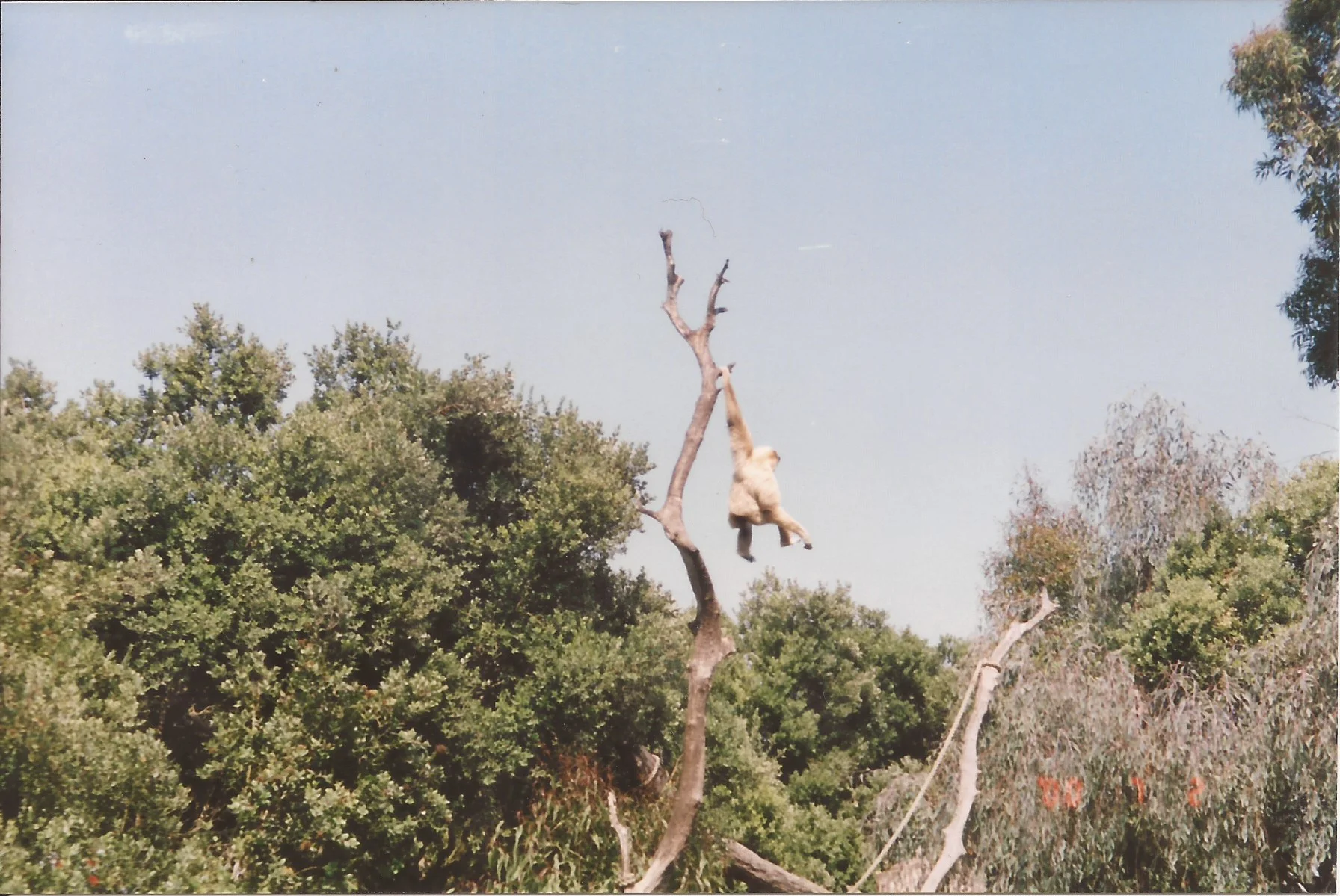 Scan 40.jpeg