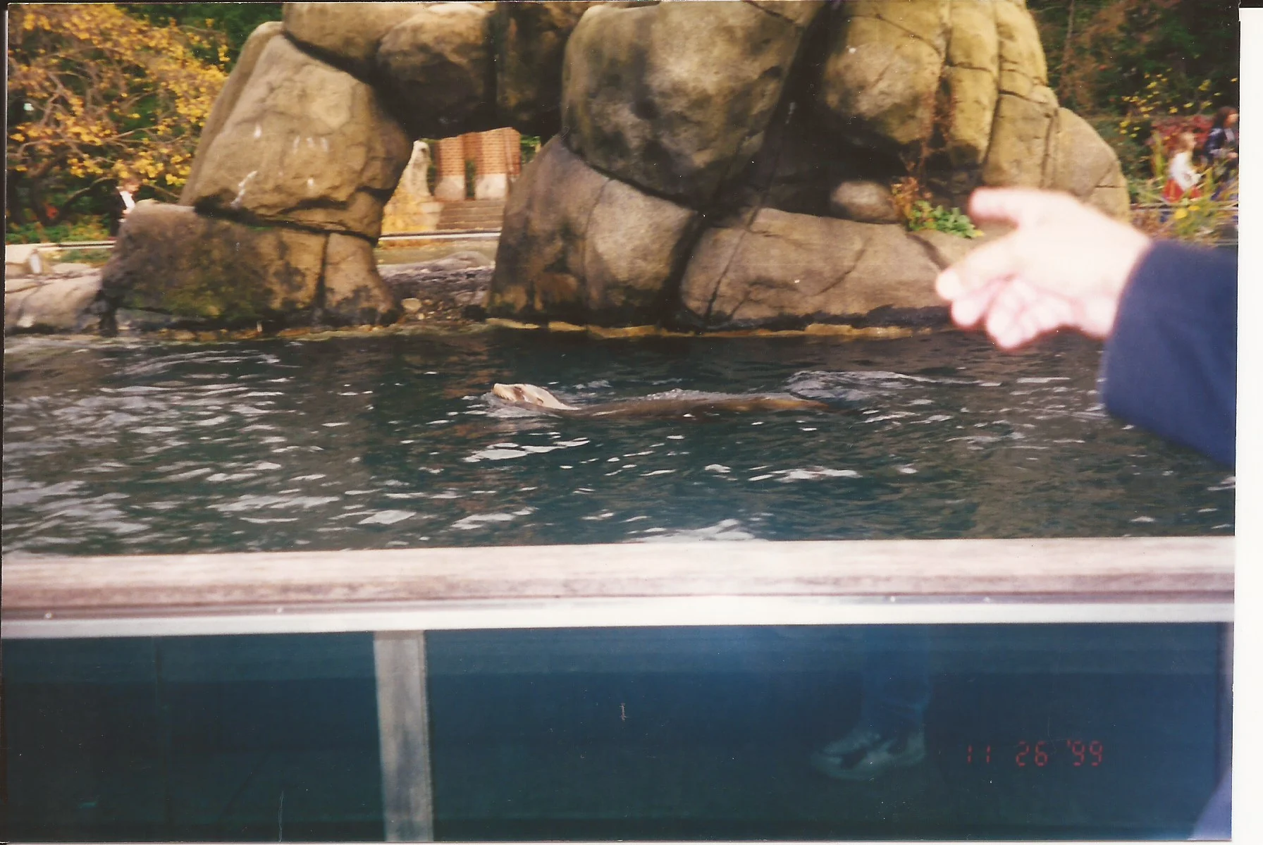 Scan 42.jpeg