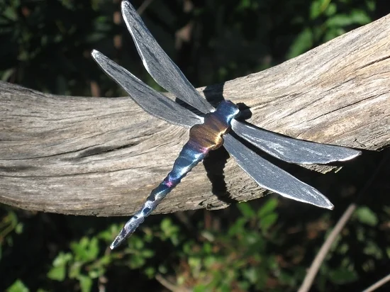Dragonfly - Running.jpg