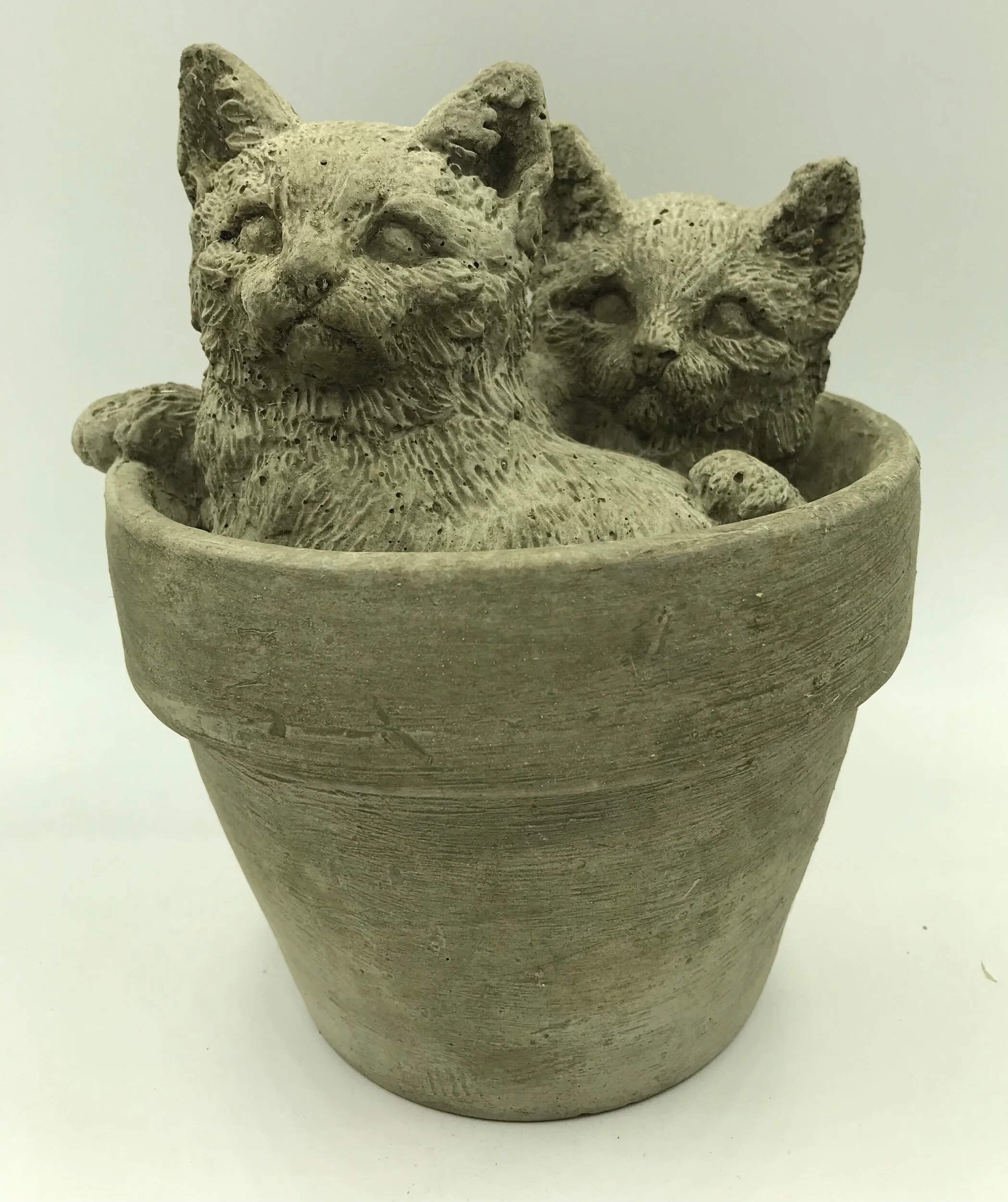 15A779F6-BC0E-456B-B4B5-3F872961DC44