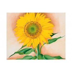 10B0F410-1631-47DA-8B70-FED0F0033F45