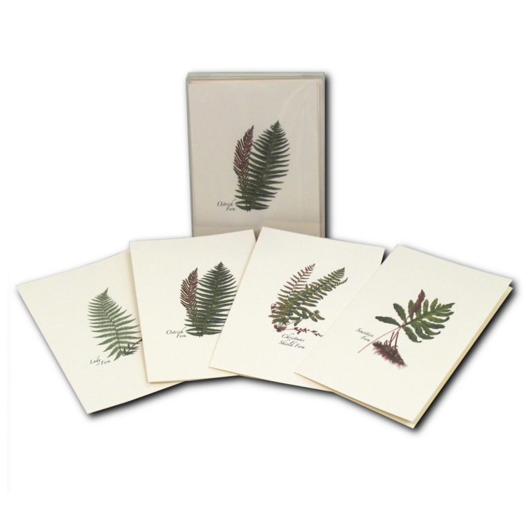 15E944B3-C43C-46B8-82D8-5B714299438A